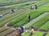 බුත්තල  ප්‍රදේශයේ ජන ජීවිතය අපි නංවාලමු