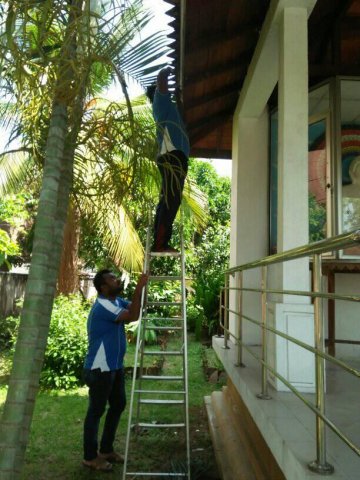 Vesak_festival