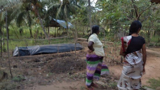 ග්‍රාම ශක්ති සතිය වැඩසටහන් ප්‍රගතිය -බුත්තල ප්‍රාදේශීය ලේකම් කොට්ඨාසය 