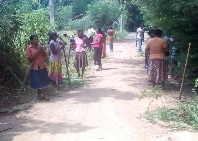 ග්‍රාම ශක්ති සතිය වැඩසටහන් ප්‍රගතිය -බුත්තල ප්‍රාදේශීය ලේකම් කොට්ඨාසය 