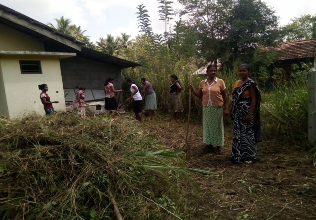 ග්‍රාම ශක්ති සතිය වැඩසටහන් ප්‍රගතිය -බුත්තල ප්‍රාදේශීය ලේකම් කොට්ඨාසය 