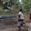 ග්‍රාම ශක්ති සතිය වැඩසටහන් ප්‍රගතිය -බුත්තල ප්‍රාදේශීය ලේකම් කොට්ඨාසය 
