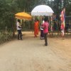 ග්‍රාම ශක්ති සතිය වැඩසටහන් ප්‍රගතිය -බුත්තල ප්‍රාදේශීය ලේකම් කොට්ඨාසය 